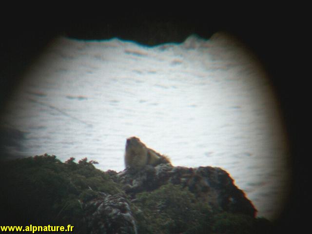 100_5285.JPG