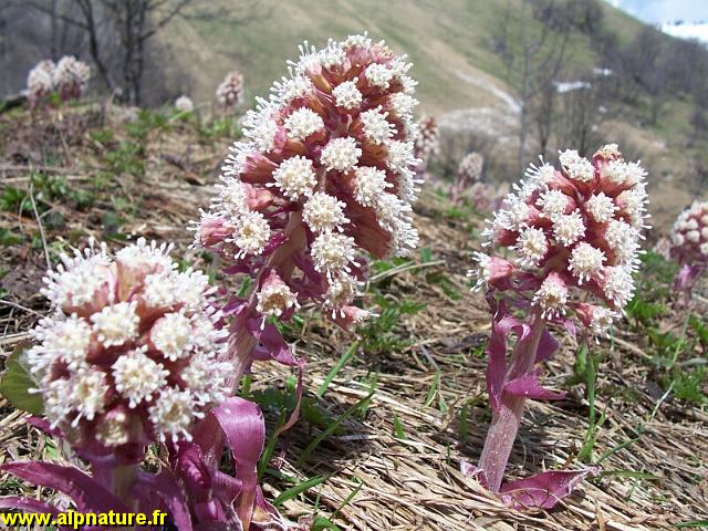 100_5290.JPG