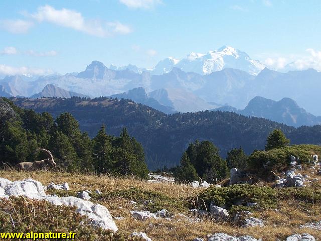 100_7491.JPG