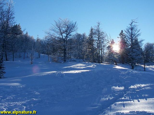 100_8047.JPG