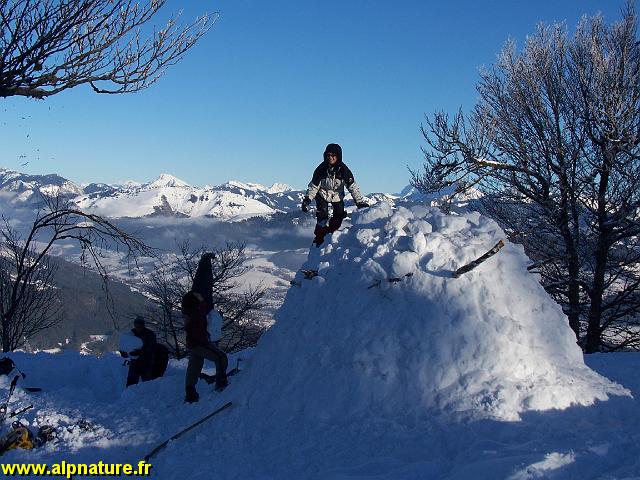 100_8050.JPG