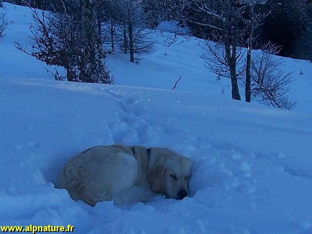 100_8056.JPG
