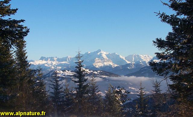 100_8077.JPG