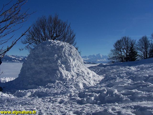 100_8082.JPG