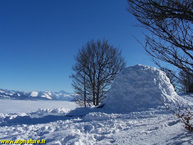 100_8093.JPG