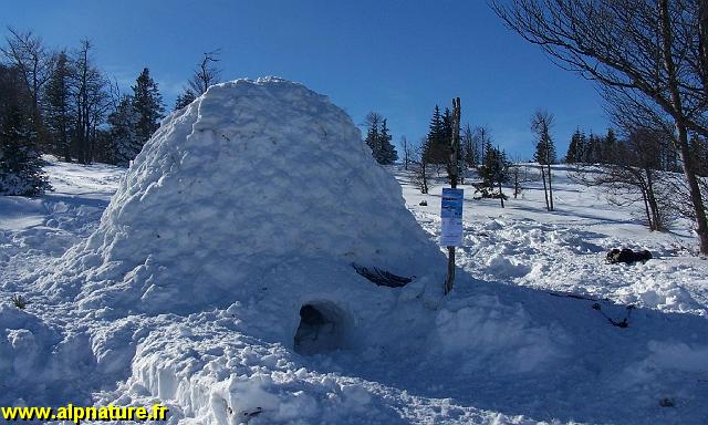 100_8094.JPG