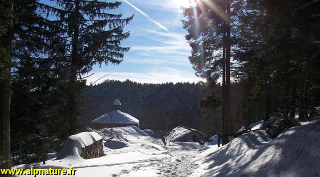100_8098.JPG