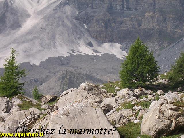 100_9113.JPG