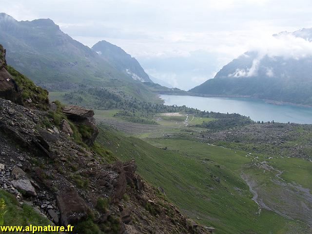 100_9119.JPG