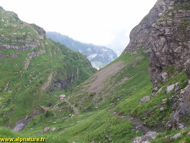 100_9126.JPG