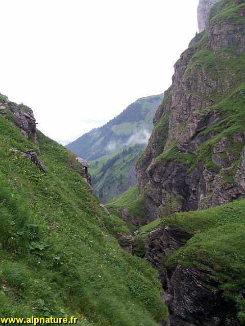100_9129.JPG