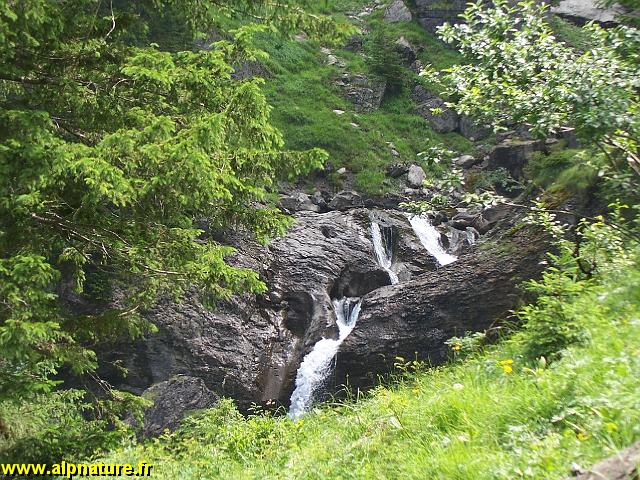 100_9137.JPG
