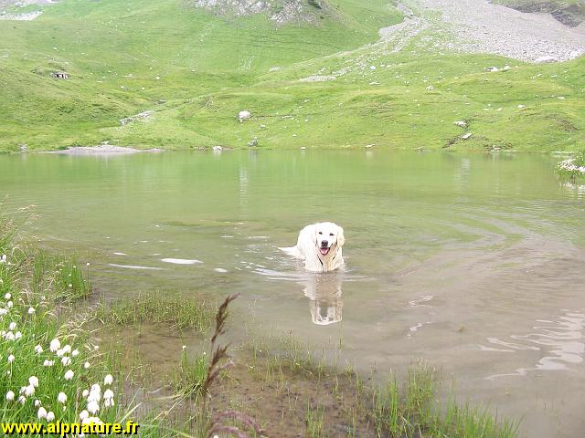 100_9141.JPG