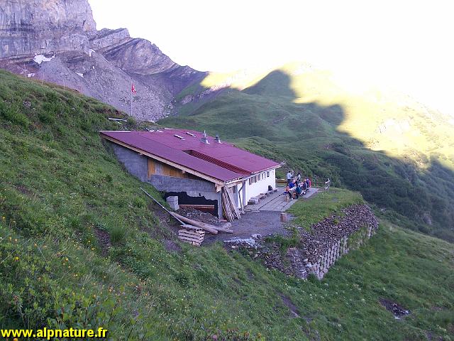 100_9145.JPG