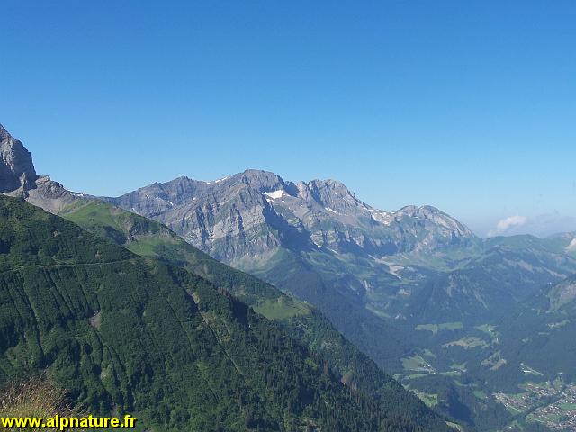 100_9163.JPG