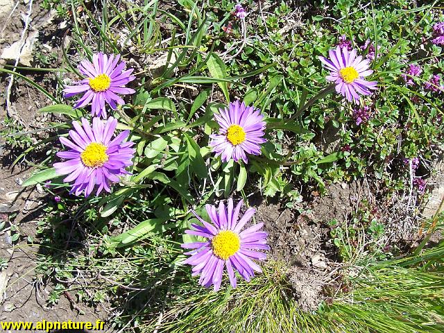 100_9168.JPG