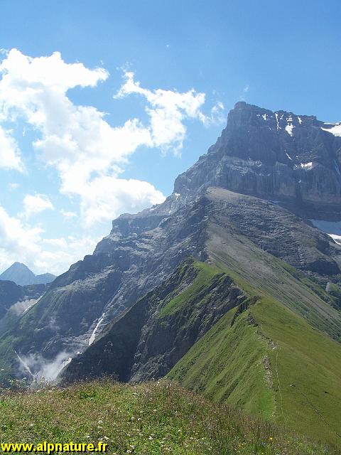 100_9171.JPG