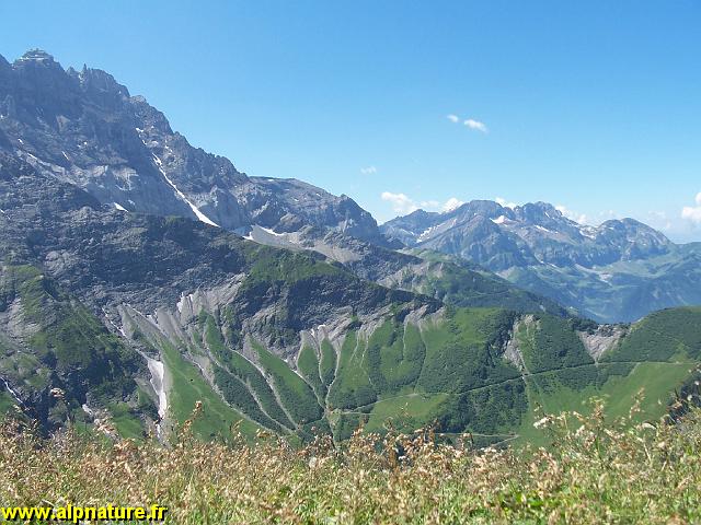 100_9174.JPG