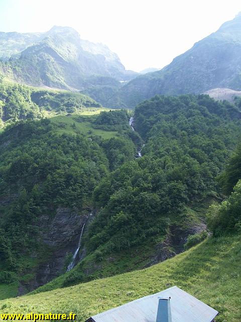 100_9181.JPG