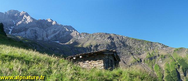 pano_alpage.jpg