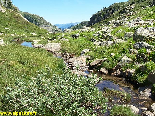 9326_Vallon_de_Veudalle.JPG
