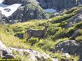 9389_etagne