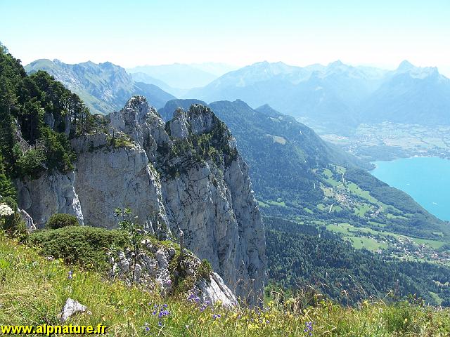 100_9513.JPG