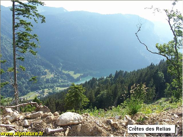 102_9448a.jpg