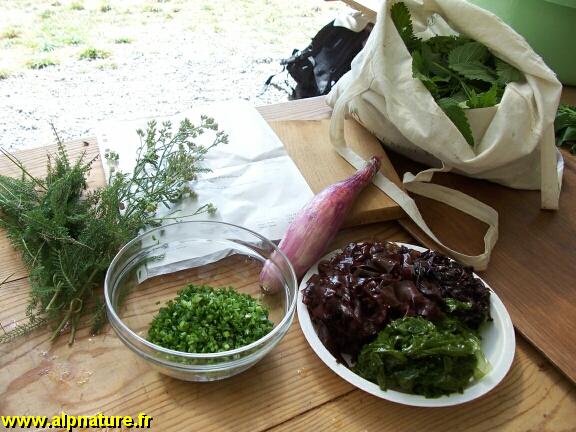 53_tartare.jpg